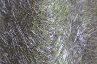 Uckerby fibreglass roof work